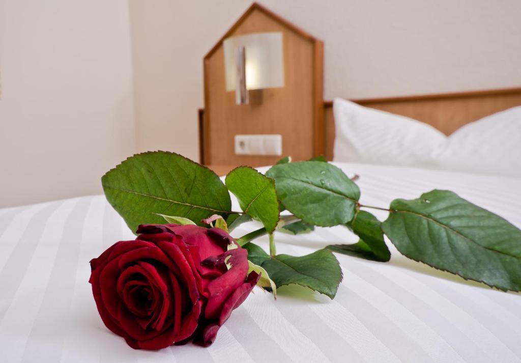 Serviced Apartments Kurpfalzhof Oftersheim 客房 照片