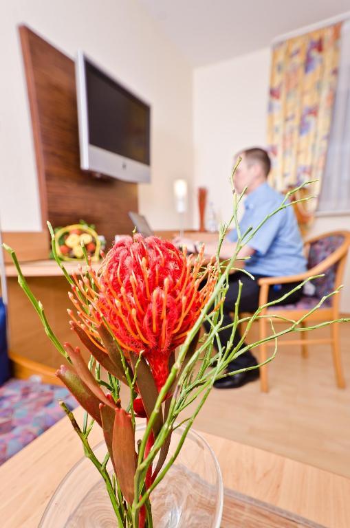 Serviced Apartments Kurpfalzhof Oftersheim 客房 照片