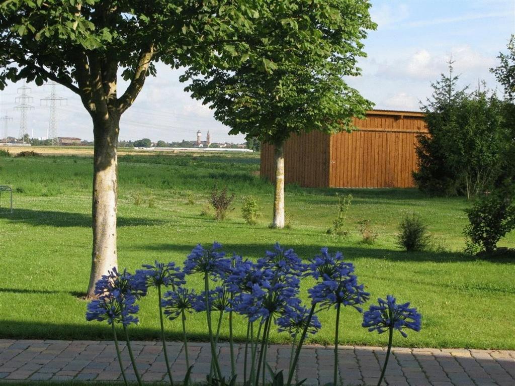 Serviced Apartments Kurpfalzhof Oftersheim 外观 照片