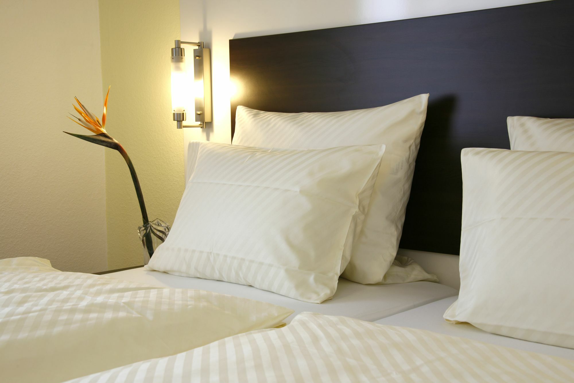 Serviced Apartments Kurpfalzhof Oftersheim 外观 照片