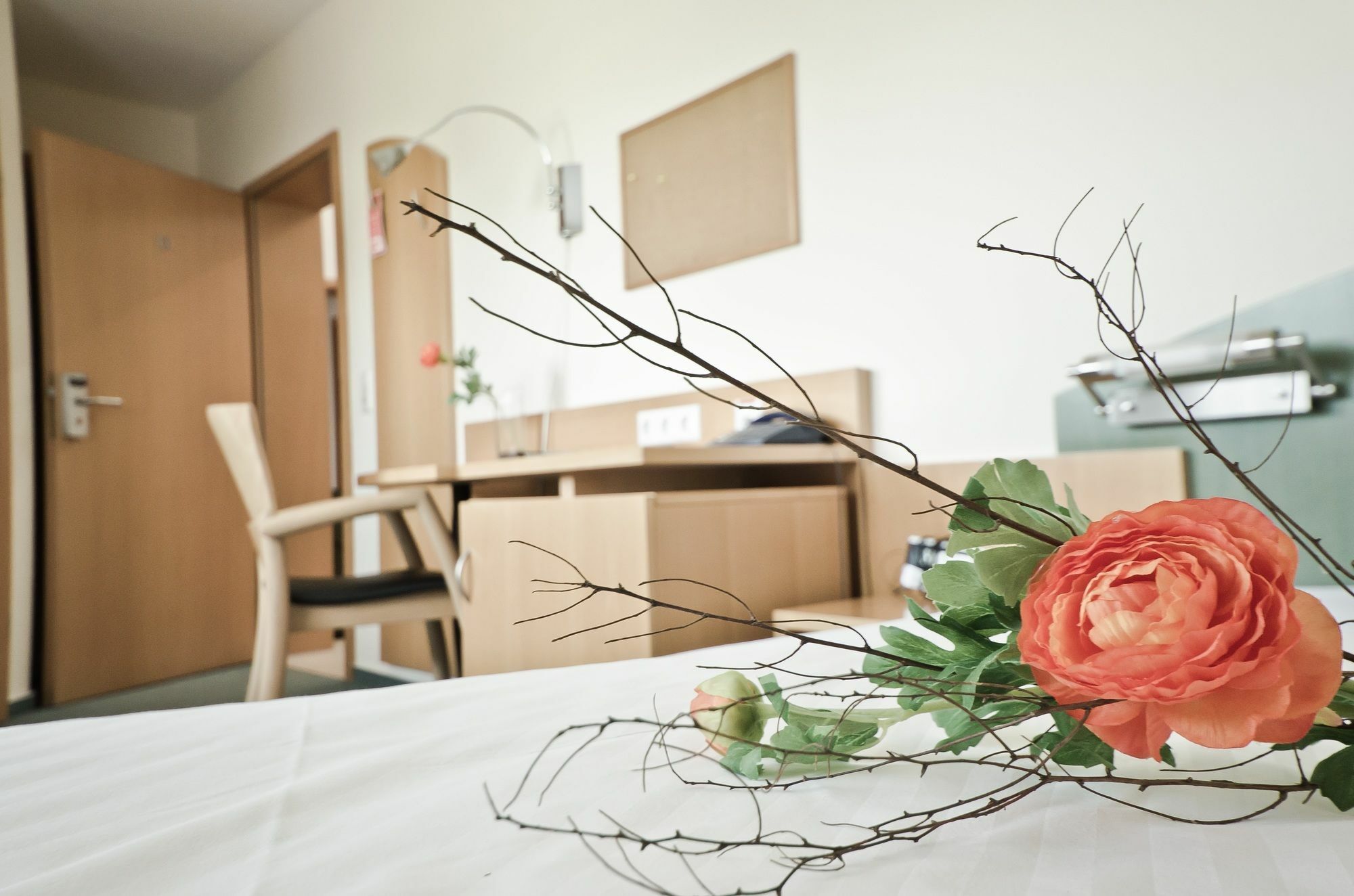 Serviced Apartments Kurpfalzhof Oftersheim 外观 照片